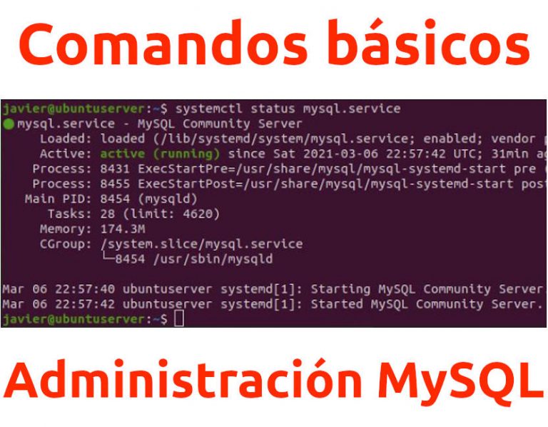 Lee más sobre el artículo Comandos básicos de administración de una base de datos MySQL