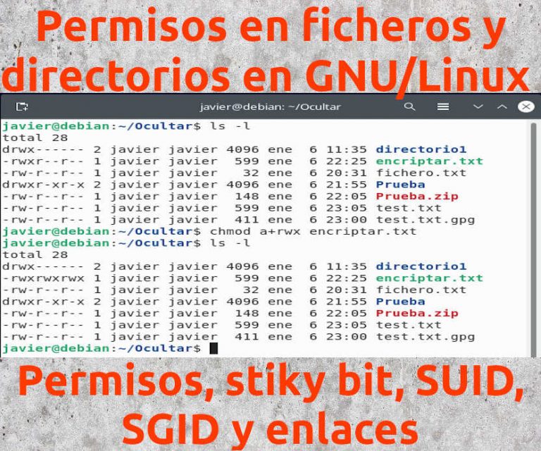 Lee más sobre el artículo Permisos en ficheros y directorios en sistemas GNU/Linux