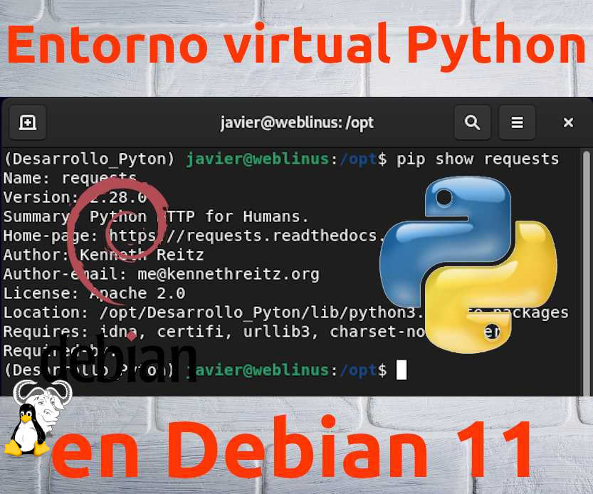 En este momento estás viendo Crear un entorno virtual Python en Debian 11
